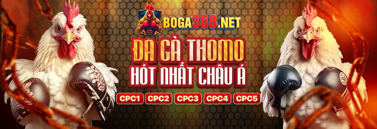 Sân đấu gà kịch tính trên vb9 app