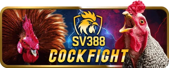 Cấp độ Bạc vb9 app